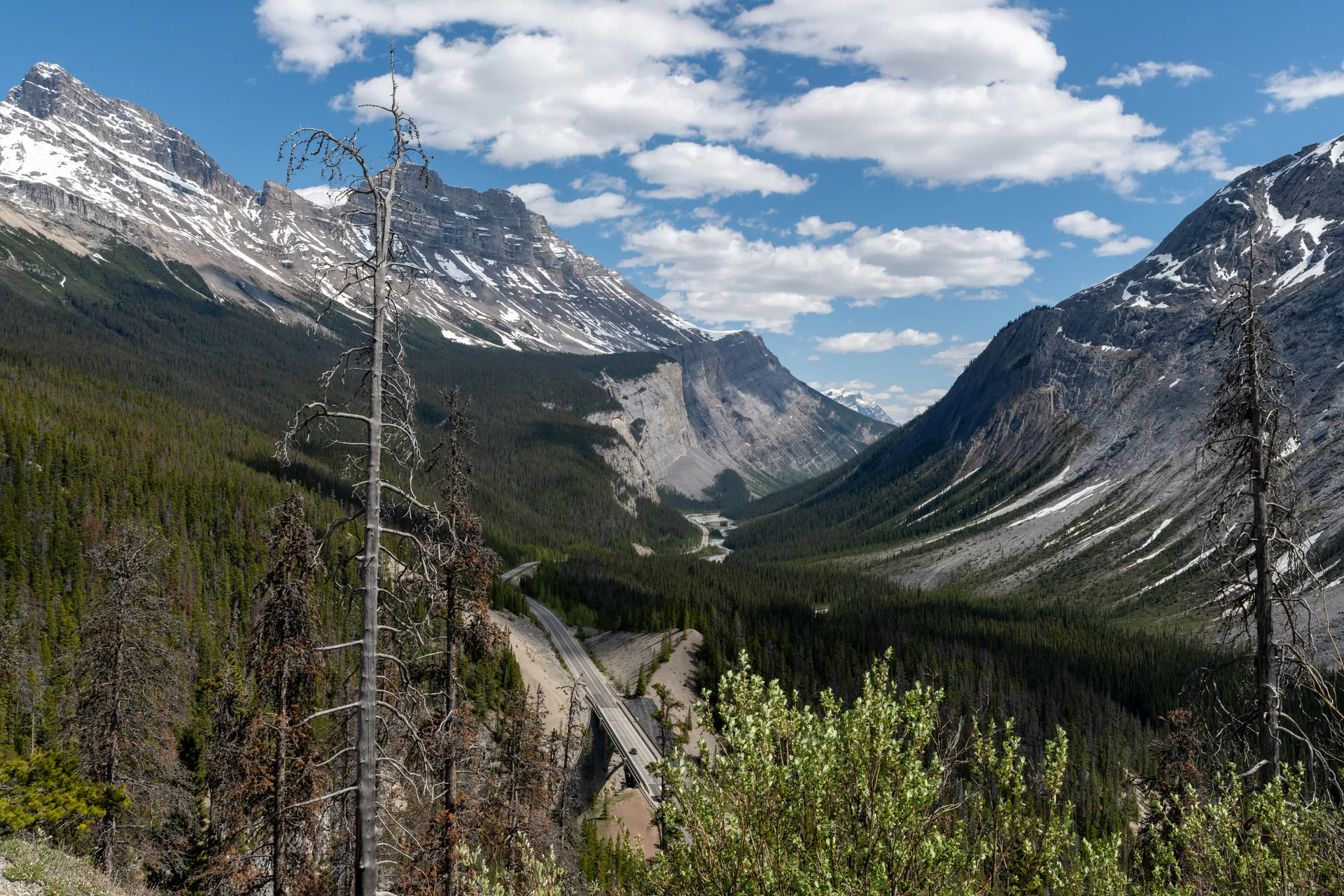 A bridge on the Icefields Parkway crosses a deep green valley between rugged peaks