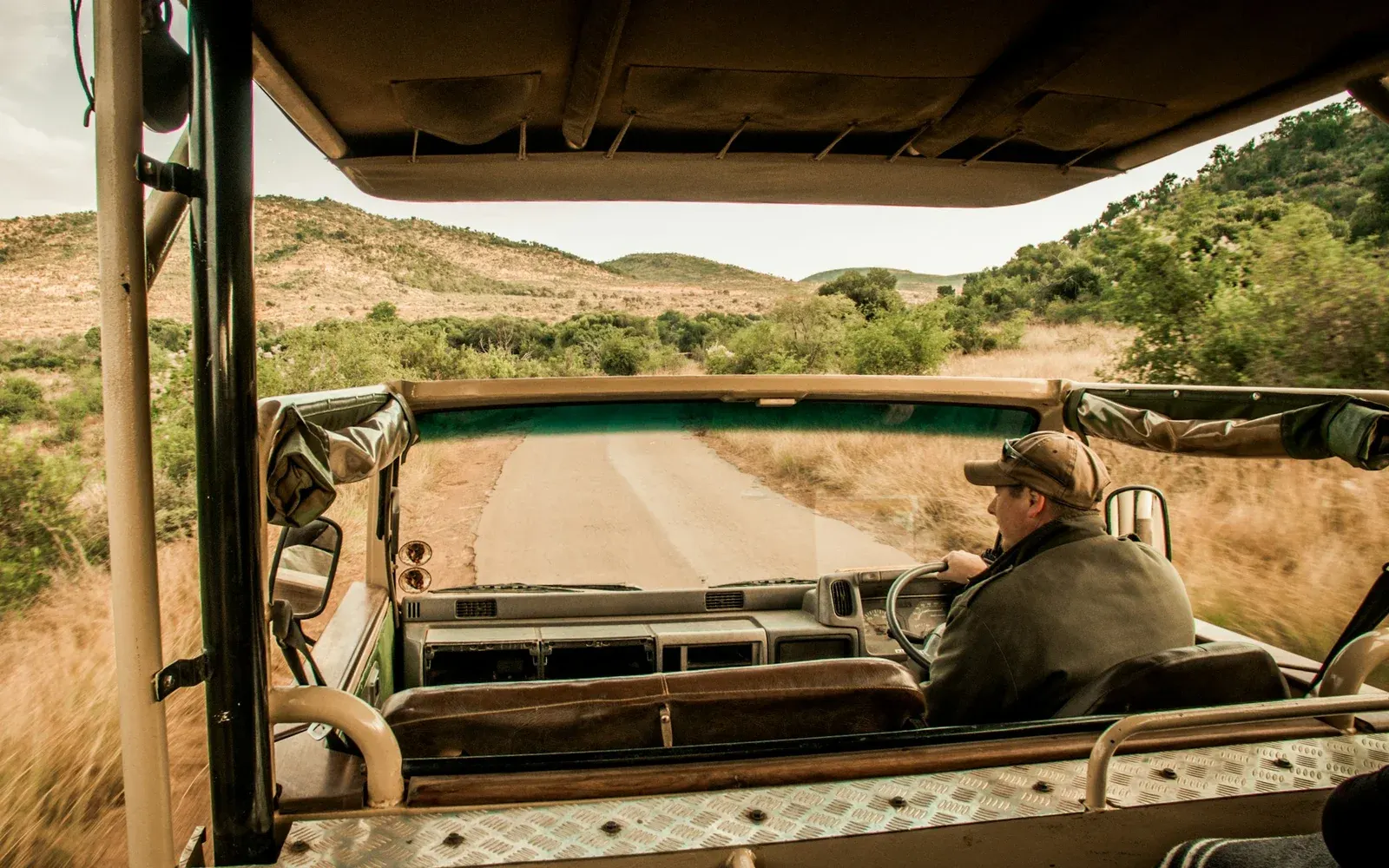 A guide in a cap drives an open safari vehicle along a narrow road through dry bush and hills, seen from the empty seats behind him.